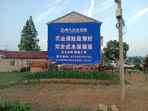 巍山墙体广告的优劣势你知道吗？